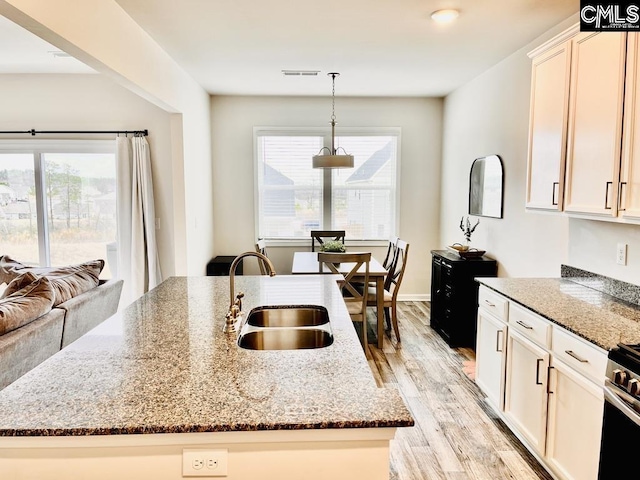 kitchen featuring a healthy amount of sunlight, light wood finished floors, a kitchen island with sink, and a sink