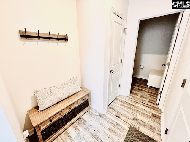 mudroom with baseboards and wood finished floors