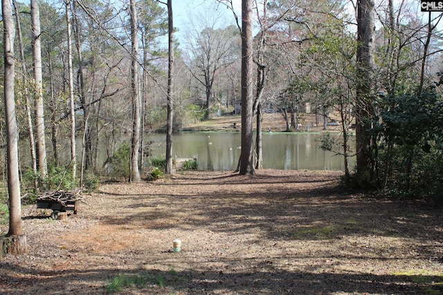 property view of water featuring a forest view