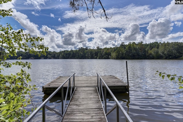 dock area with a water view and a forest view