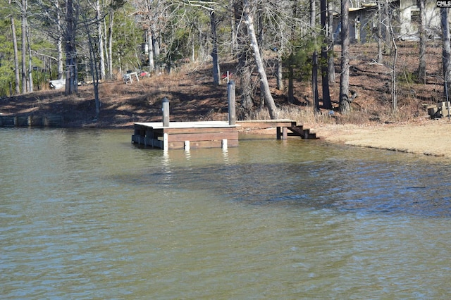 dock area featuring a water view