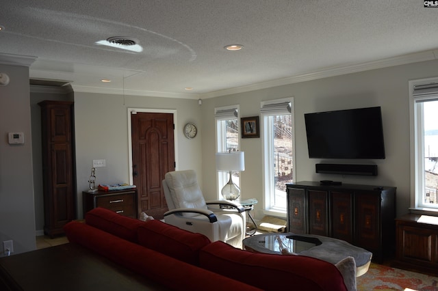 living room with a textured ceiling, ornamental molding, visible vents, and attic access