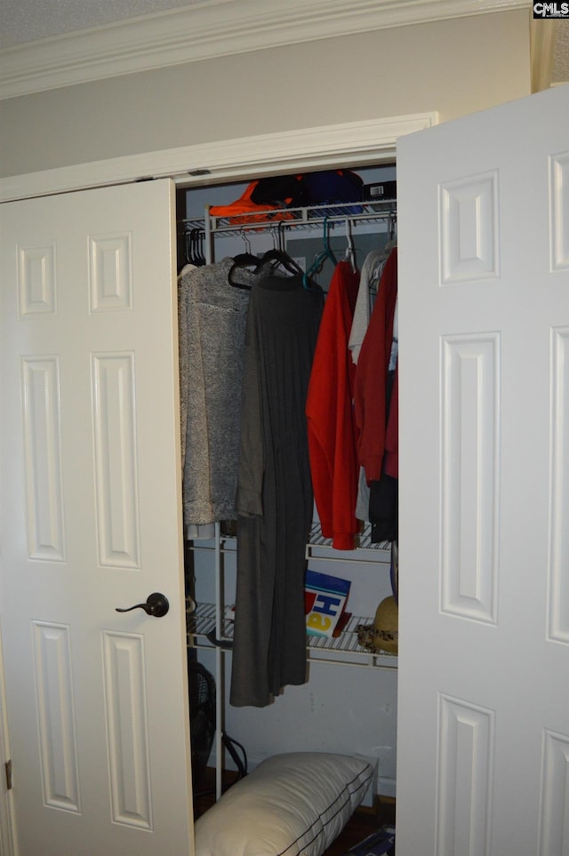 view of closet