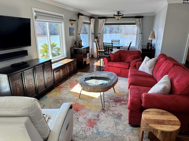 living room featuring ornamental molding and wood finished floors