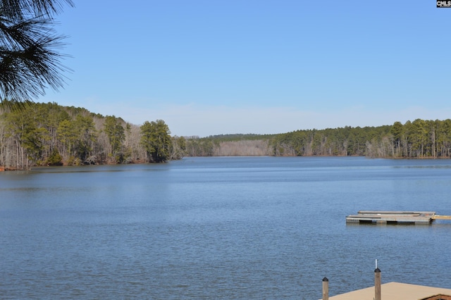 view of dock featuring a water view and a view of trees