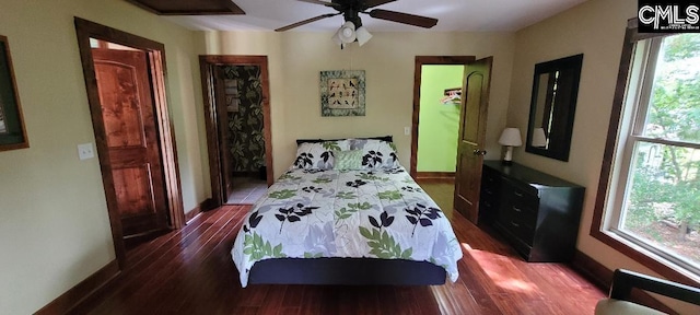 bedroom featuring a ceiling fan, dark wood-style flooring, multiple windows, and baseboards