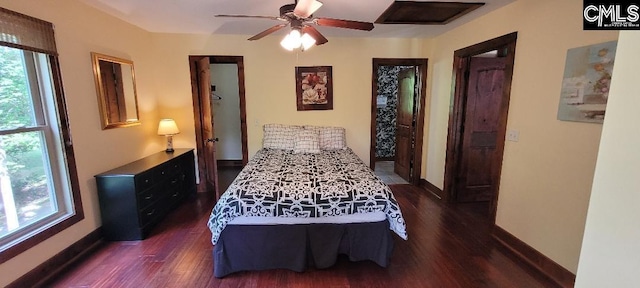 bedroom with dark wood-type flooring, multiple windows, and baseboards