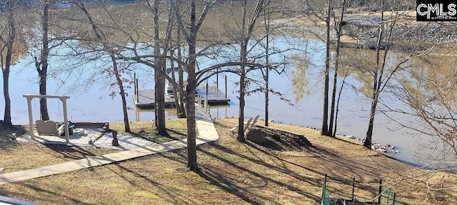 view of yard featuring a boat dock