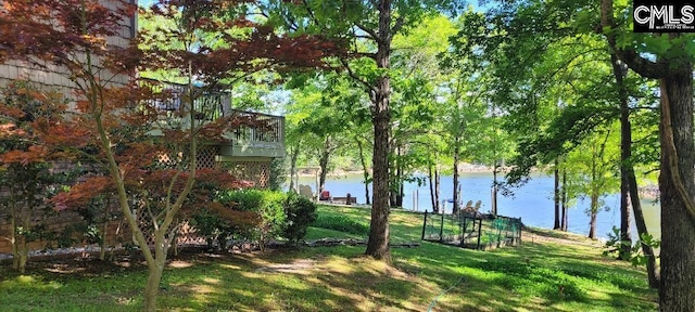 view of yard featuring a water view