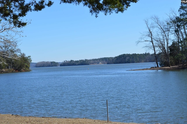 water view featuring a forest view