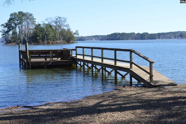 dock area with a water view