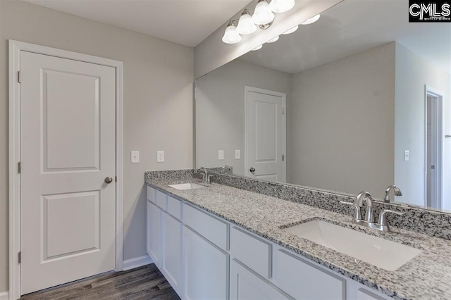 full bathroom featuring double vanity, wood finished floors, and a sink