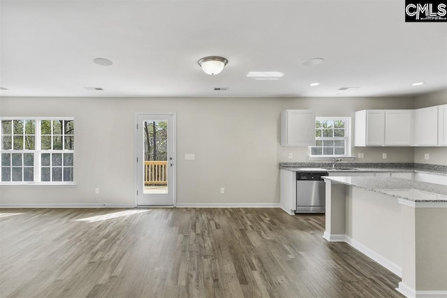 kitchen featuring plenty of natural light, dishwasher, and wood finished floors