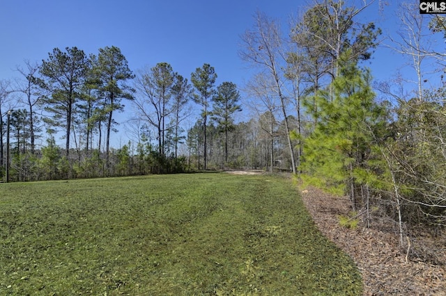 view of local wilderness featuring a forest view