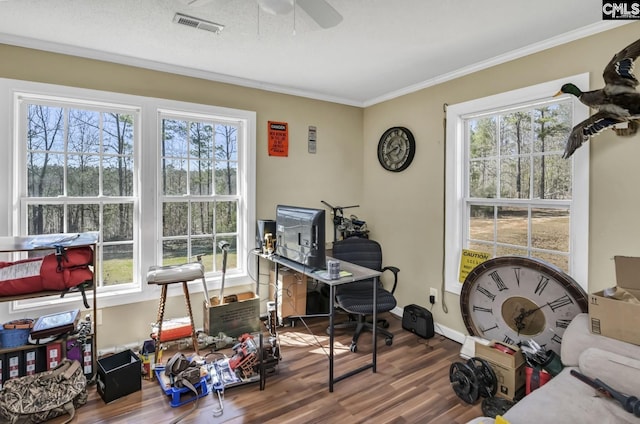 office featuring a wealth of natural light, wood finished floors, visible vents, and crown molding