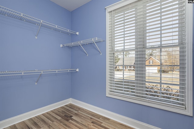 walk in closet featuring wood finished floors