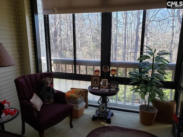 910 Poinsett Pl Unit 5, West Columbia, SC 29169 - living area featuring carpet flooring