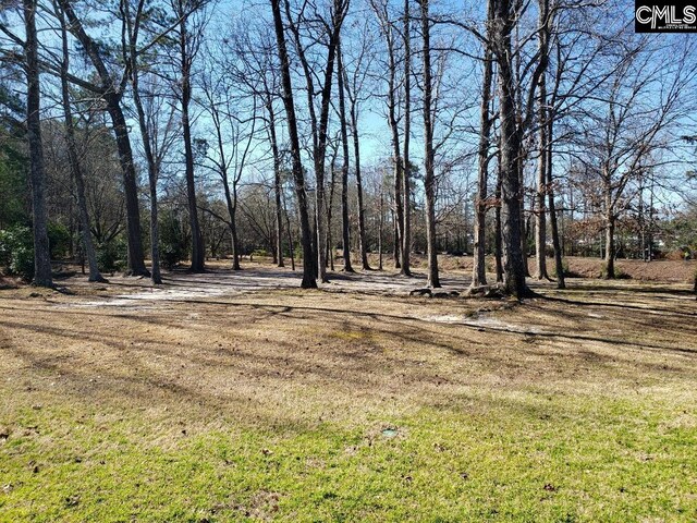 910 Poinsett Pl Unit 5, West Columbia, SC 29169 - view of yard