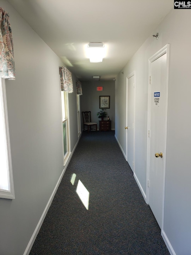 910 Poinsett Pl Unit 5, West Columbia, SC 29169 - hall featuring dark colored carpet and baseboards