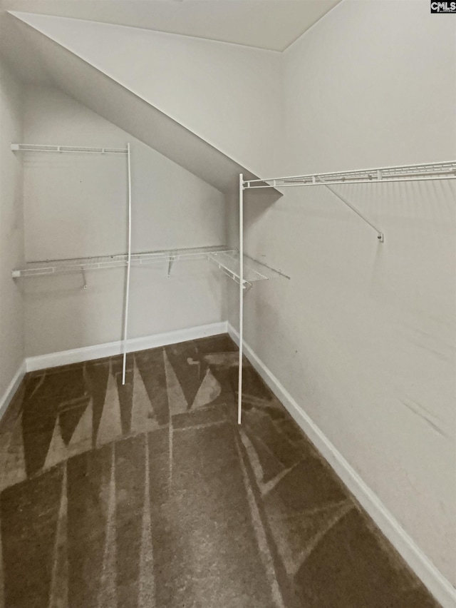 spacious closet featuring carpet floors and lofted ceiling