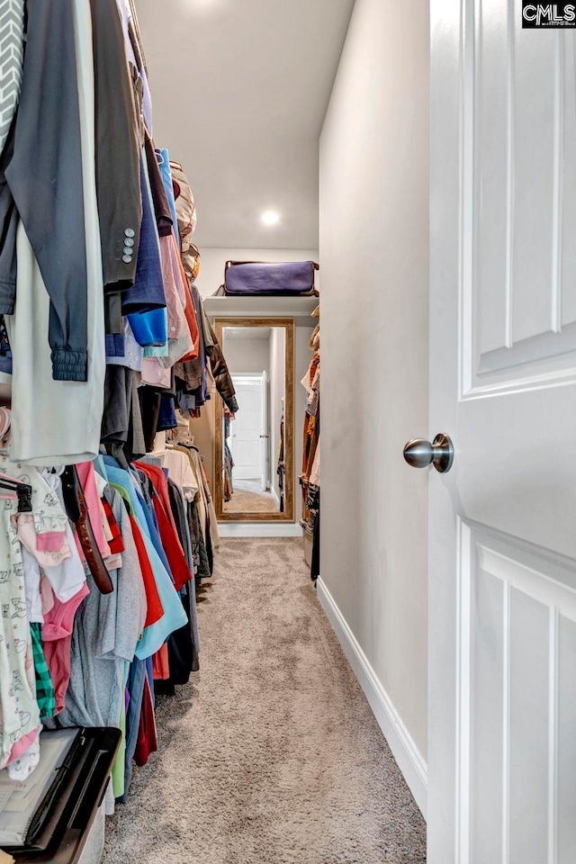 spacious closet featuring carpet flooring