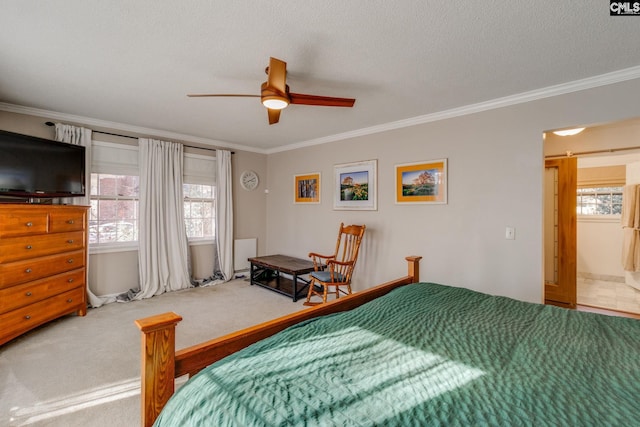 carpeted bedroom with multiple windows, crown molding, and a textured ceiling