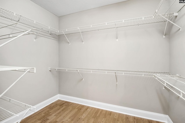 walk in closet with wood finished floors