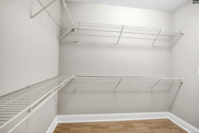 spacious closet featuring wood finished floors