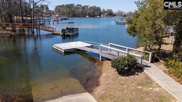 dock area featuring a water view