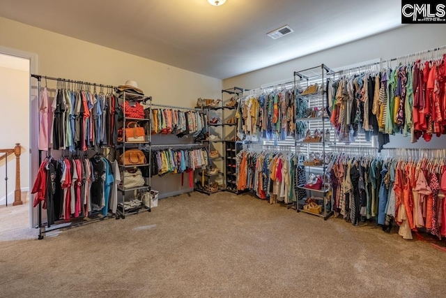 walk in closet featuring carpet and visible vents