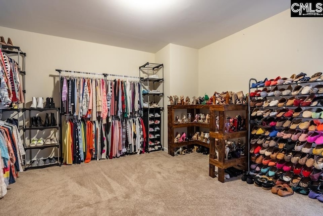 spacious closet featuring carpet