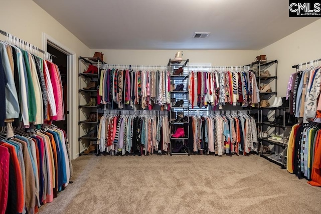 spacious closet featuring carpet and visible vents