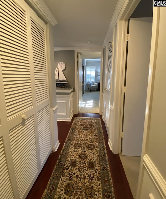 hallway featuring dark wood-type flooring, wainscoting, crown molding, and a decorative wall