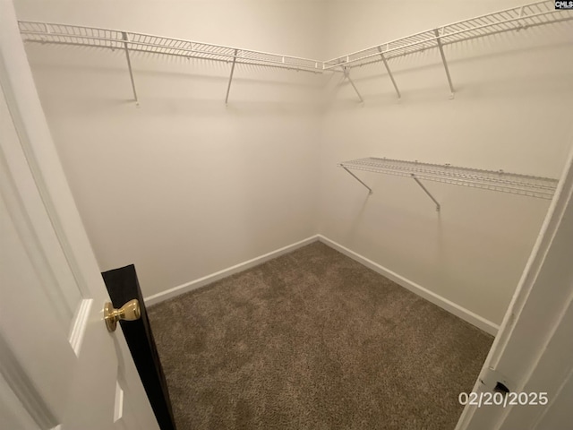 spacious closet featuring dark colored carpet