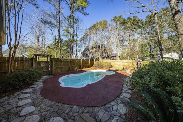 view of pool featuring a fenced backyard and a fenced in pool