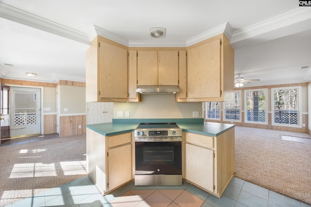 kitchen with crown molding, stainless steel electric range, light colored carpet, and under cabinet range hood