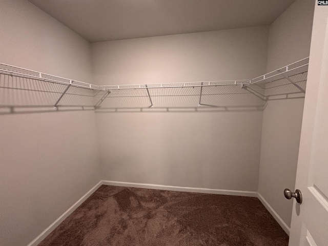 spacious closet with carpet flooring