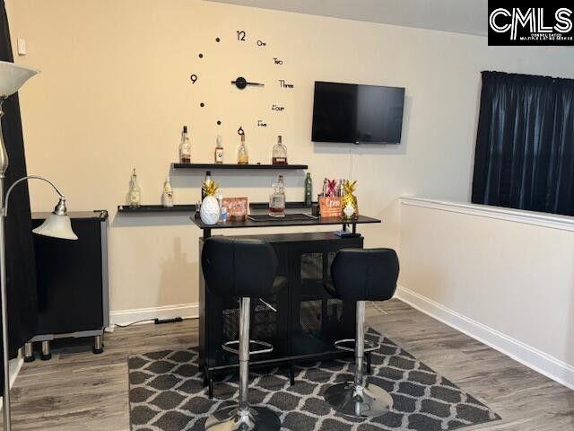 bar featuring baseboards, a bar, and wood finished floors