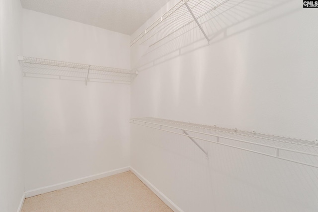 walk in closet with light colored carpet