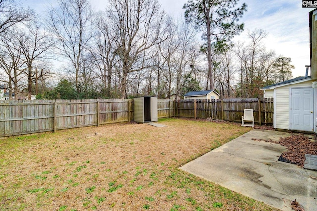 view of yard with a patio area and a fenced backyard