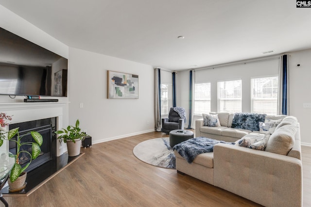 living area with baseboards, visible vents, wood finished floors, and a glass covered fireplace