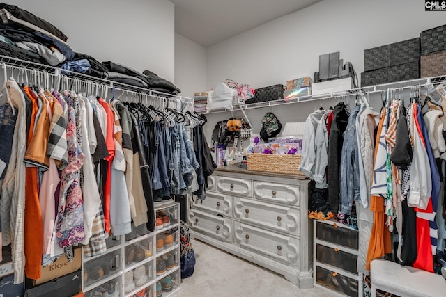 spacious closet with carpet floors