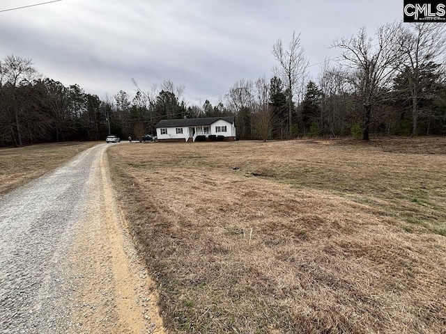 view of road with driveway