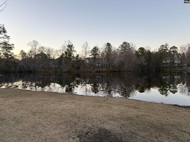 view of water feature