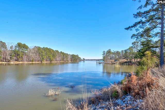 Listing photo 3 for 785 Retreat Way, Ridgeway SC 29130