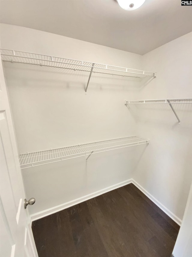 walk in closet featuring dark wood-style flooring