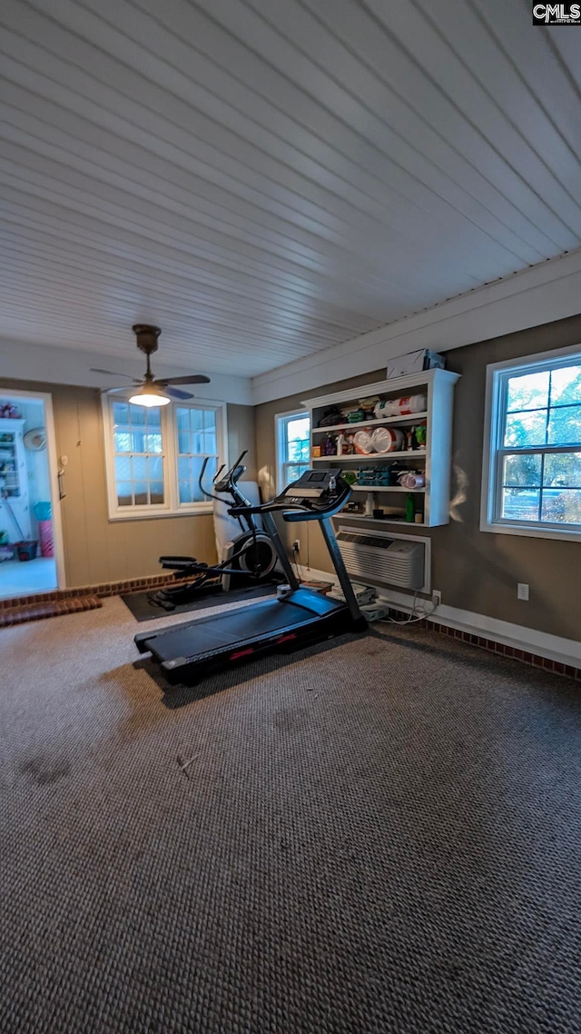 workout area featuring a wall mounted air conditioner, carpet flooring, and a ceiling fan