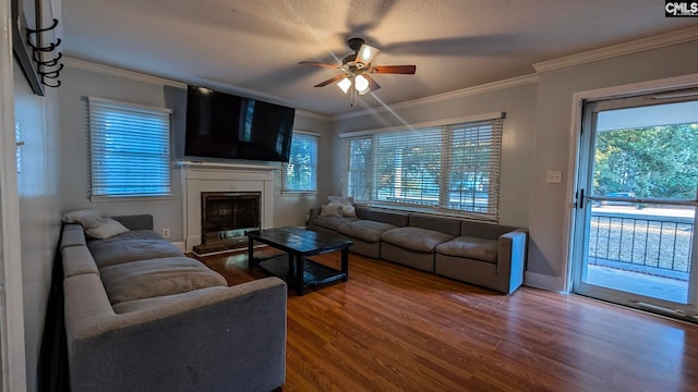 living room featuring a fireplace with raised hearth, wood finished floors, a ceiling fan, baseboards, and crown molding