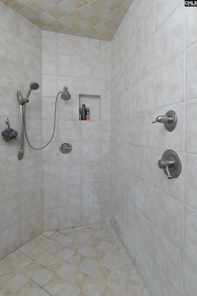 547 Harbor Heights Dr, Lexington, SC 29072 - bathroom featuring tiled shower