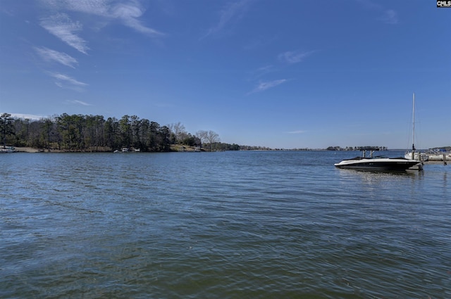 547 Harbor Heights Dr, Lexington, SC 29072 - water view with a dock